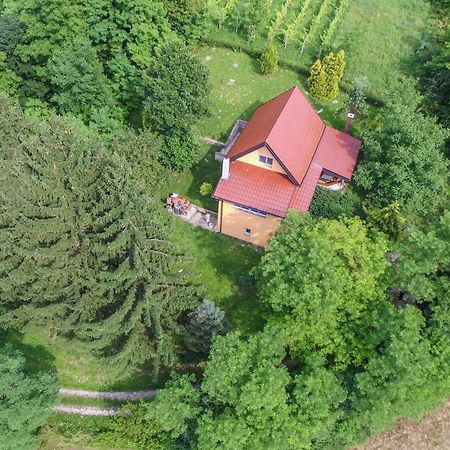 Villa Lorena Krapinske Toplice Dış mekan fotoğraf