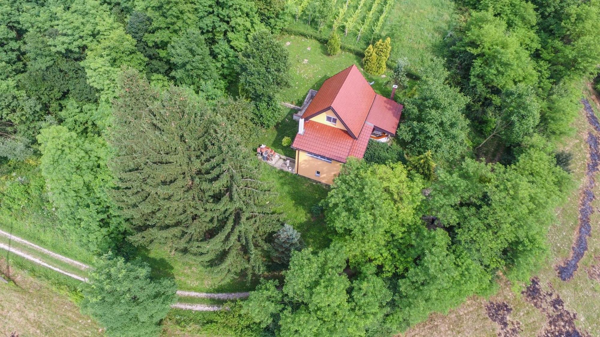 Villa Lorena Krapinske Toplice Dış mekan fotoğraf